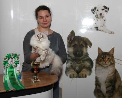 �������� ����� '������� ���-�����' 30 ������-1 ������� 2013., ������������ ��� 3822